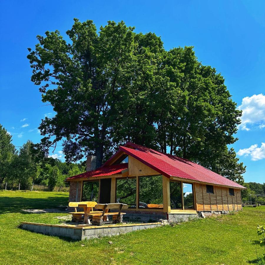 Villa Casuta Din Stejari-Transalpina Novaci-Străini Exterior foto